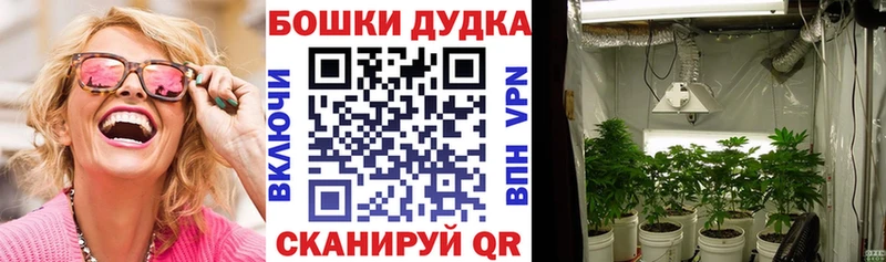 даркнет сайт  Ардон  Каннабис конопля 
